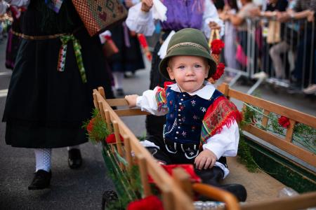 Izjemen obisk zaznamoval 50. Dneve narodnih noš in oblačilne dediščine v Kamniku (Blaž T. Muc)  (105)
